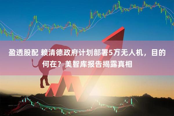 盈透股配 赖清德政府计划部署5万无人机，目的何在？美智库报告揭露真相