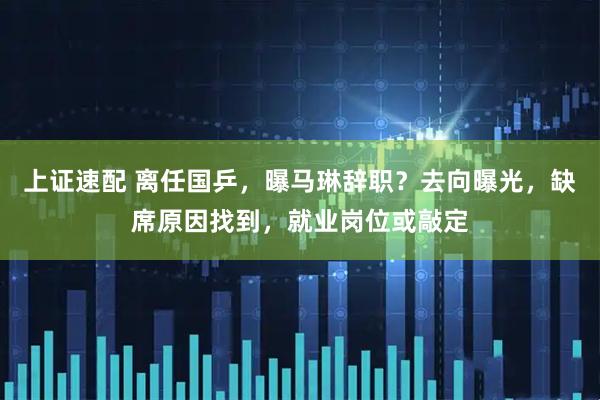 上证速配 离任国乒，曝马琳辞职？去向曝光，缺席原因找到，就业岗位或敲定