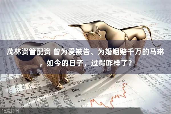 茂林资管配资 曾为爱被告、为婚姻赔千万的马琳,如今的日子,过得咋样了?