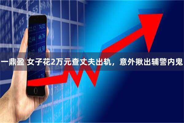 一鼎盈 女子花2万元查丈夫出轨，意外揪出辅警内鬼